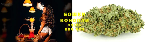 молекула духа Гусиноозёрск
