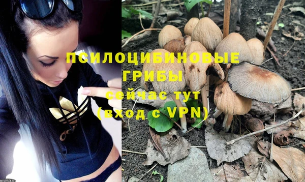 a pvp Горно-Алтайск