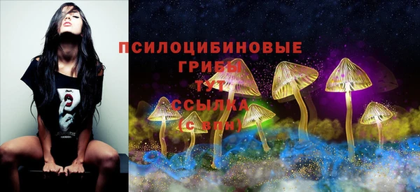 MESCALINE Гусь-Хрустальный