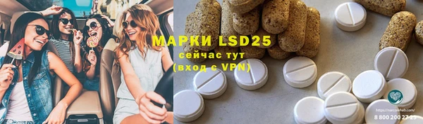 молекула духа Гусиноозёрск